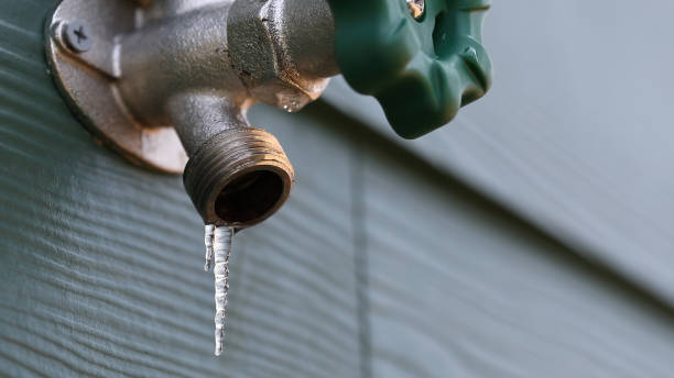 Best Plumbing Services Near Me  in Gulf Breeze, FL